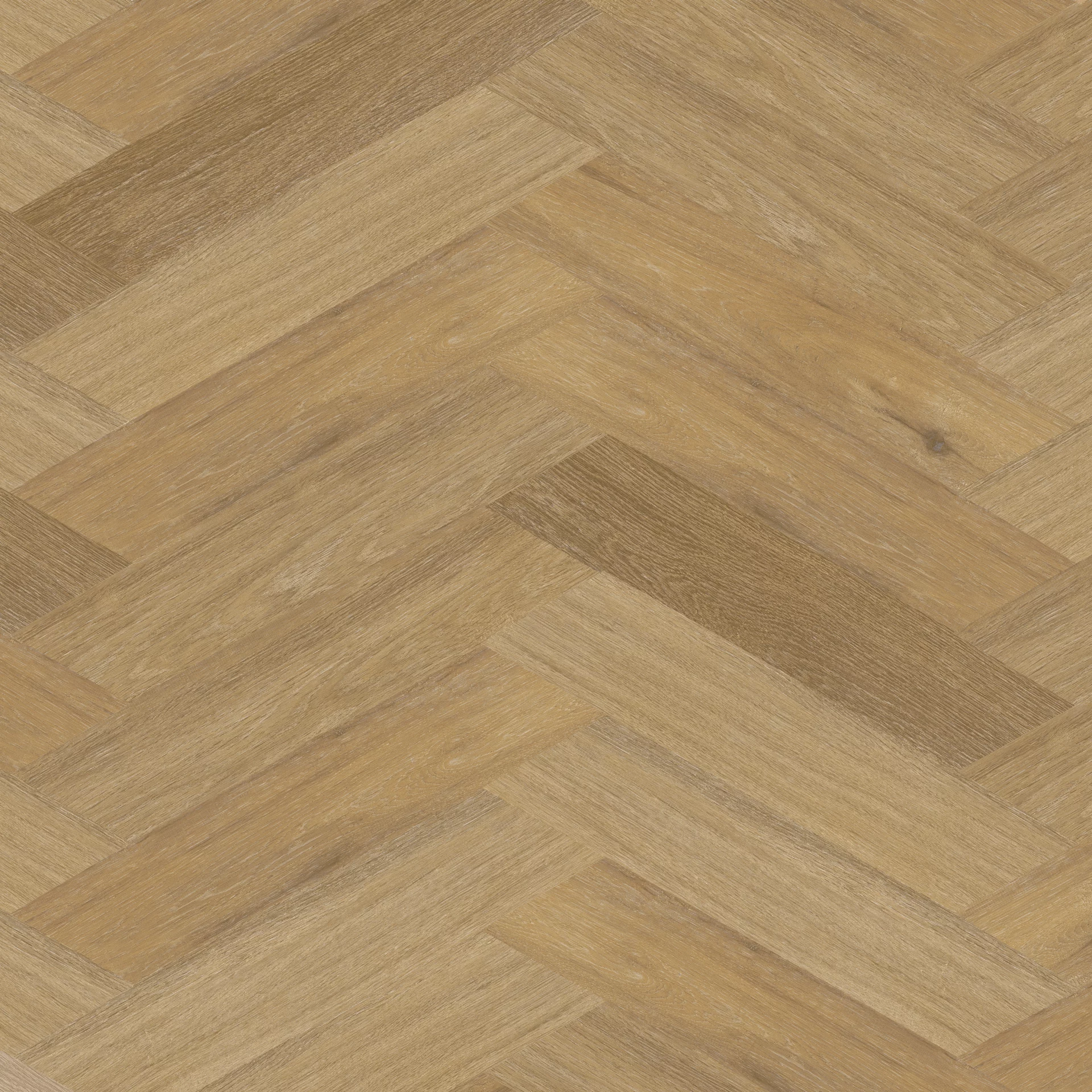 Therdex Chevron 6543 Weense punt Dryback