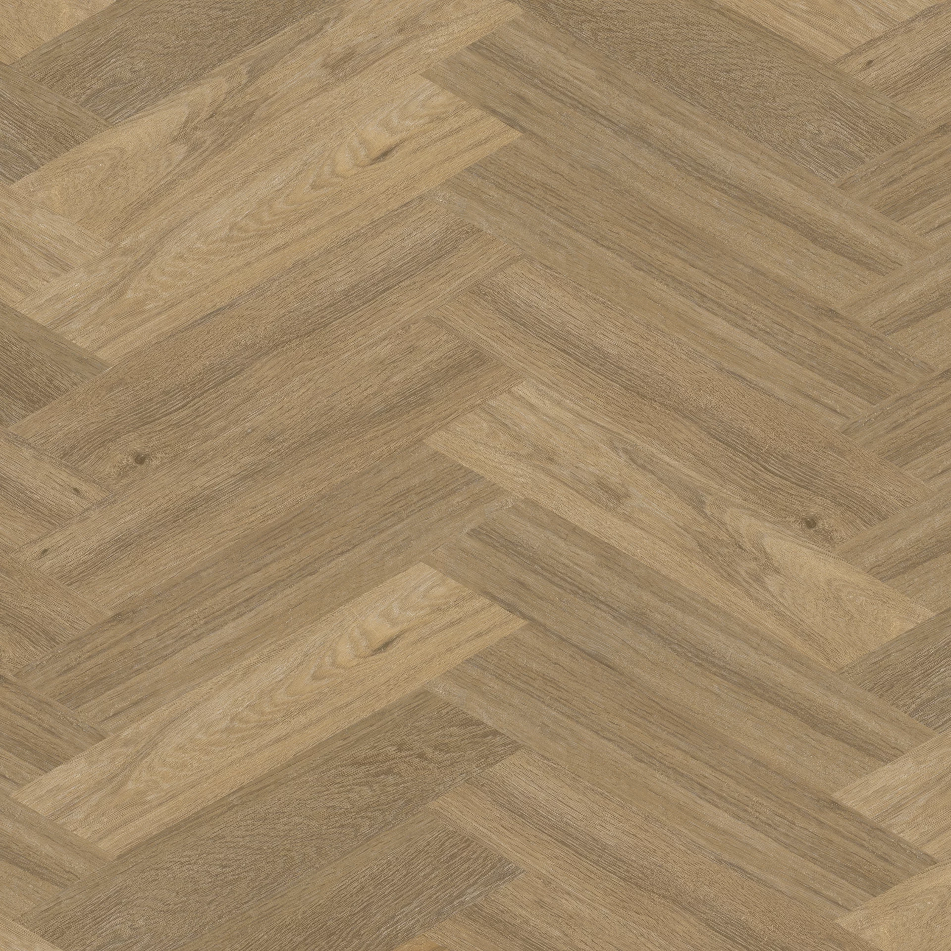 Therdex Chevron 6544 Weense punt Dryback