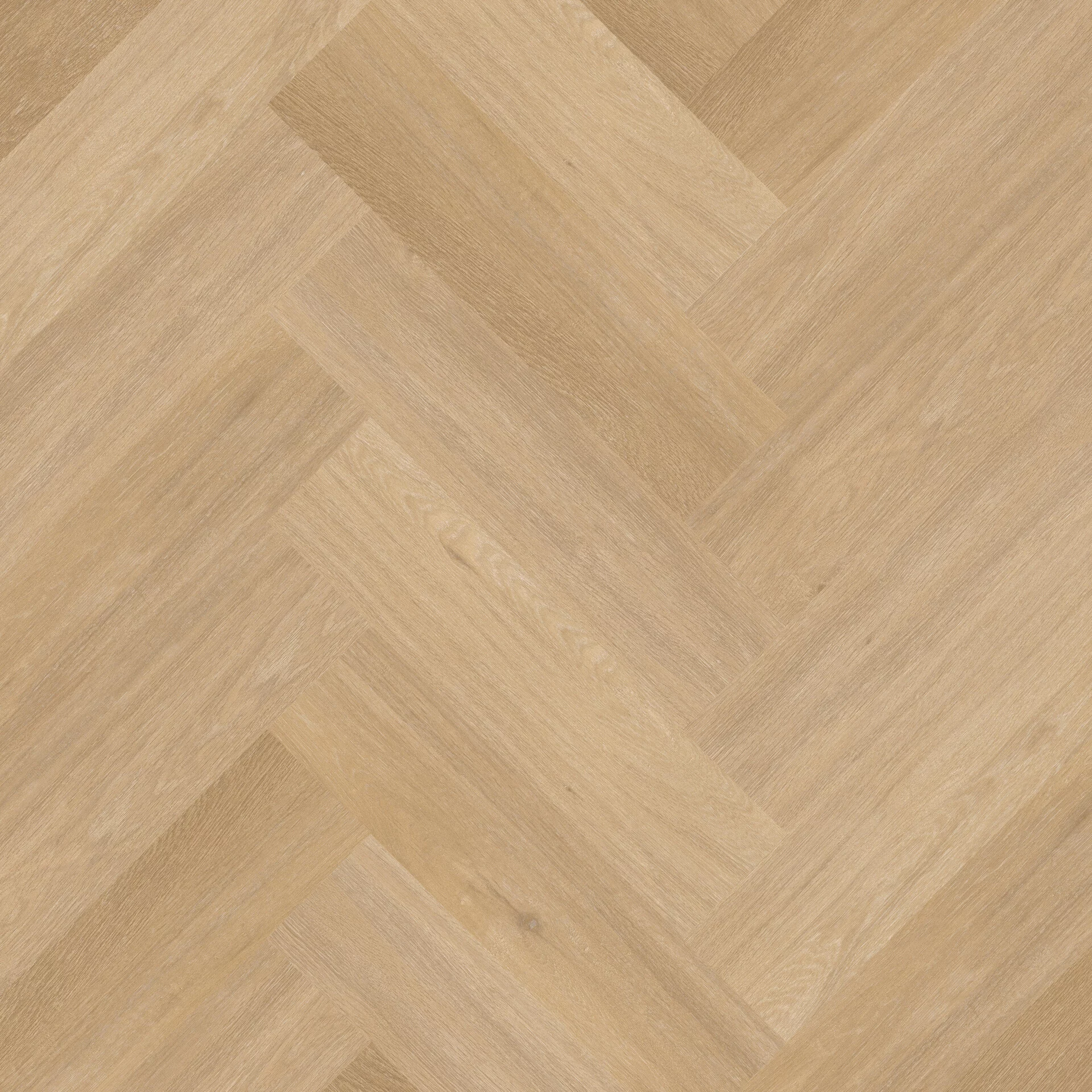 Therdex Chevron 6041 Visgraat Dryback