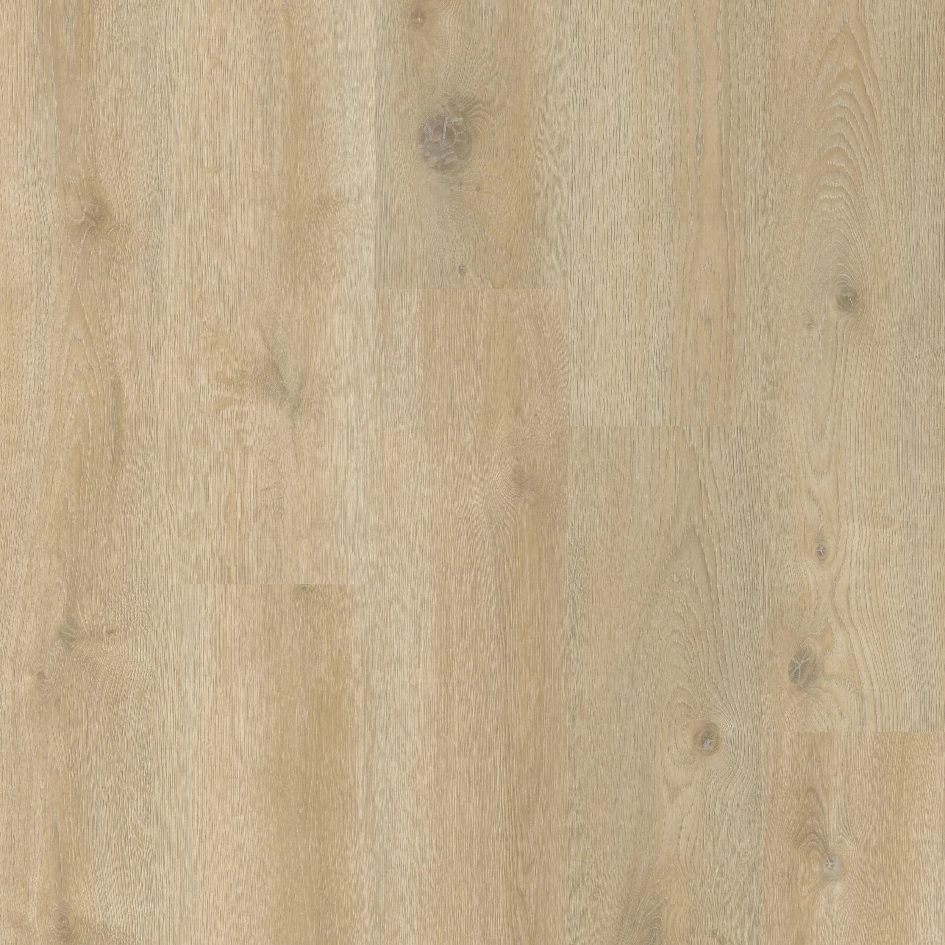 Therdex Original 2 15041 Plank XL Dryback