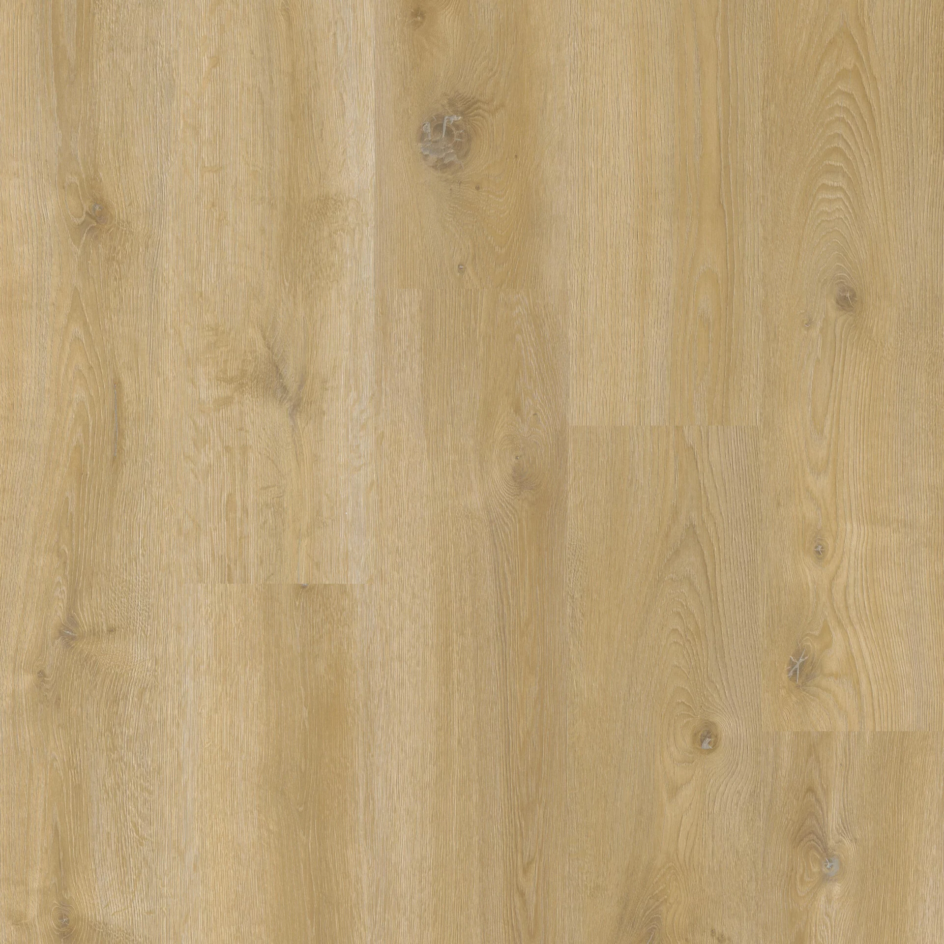 Therdex Original 2 15042 Plank XL Dryback