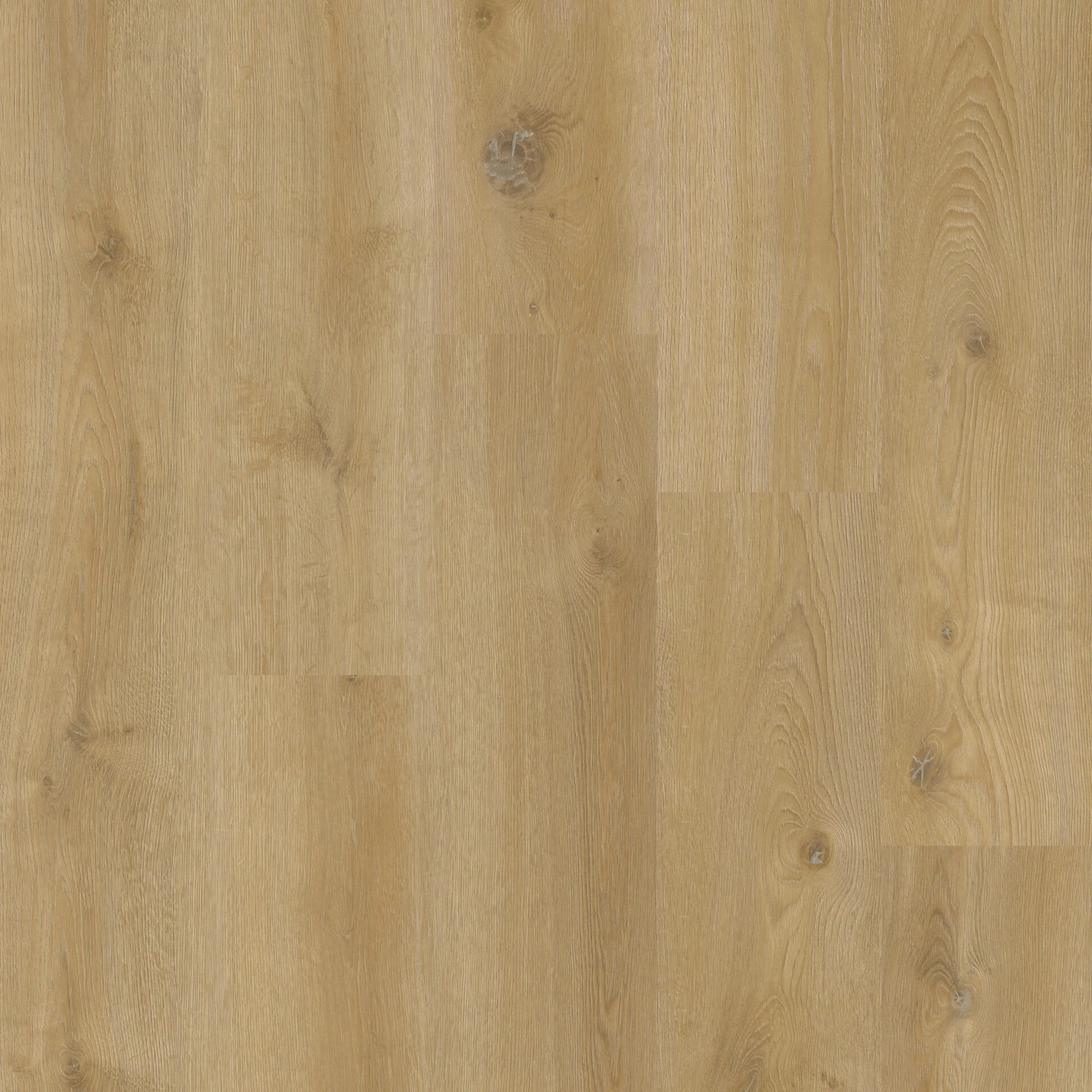Therdex Original 2 15043 Plank XL Dryback
