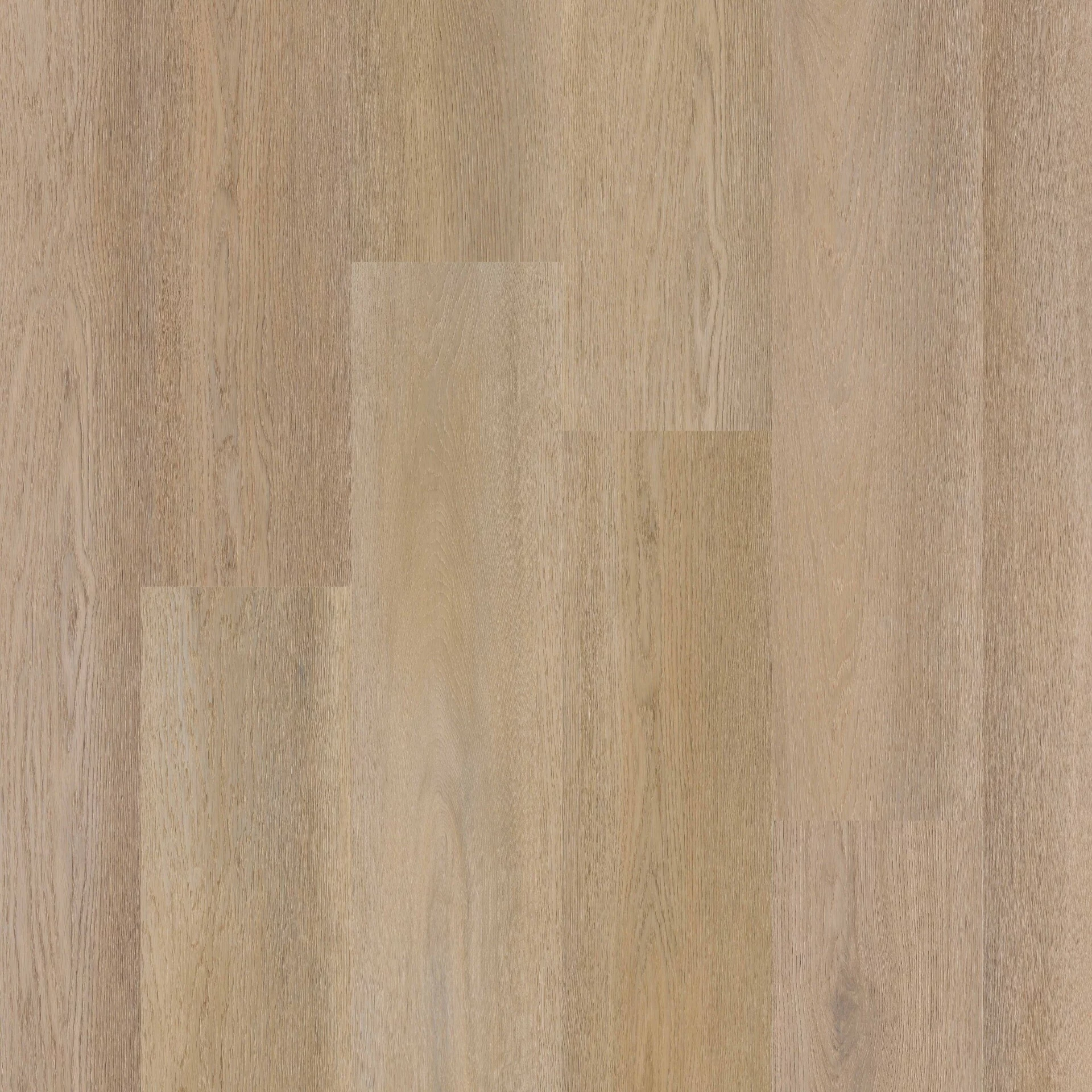Therdex Premier C15084 Plank XL Click