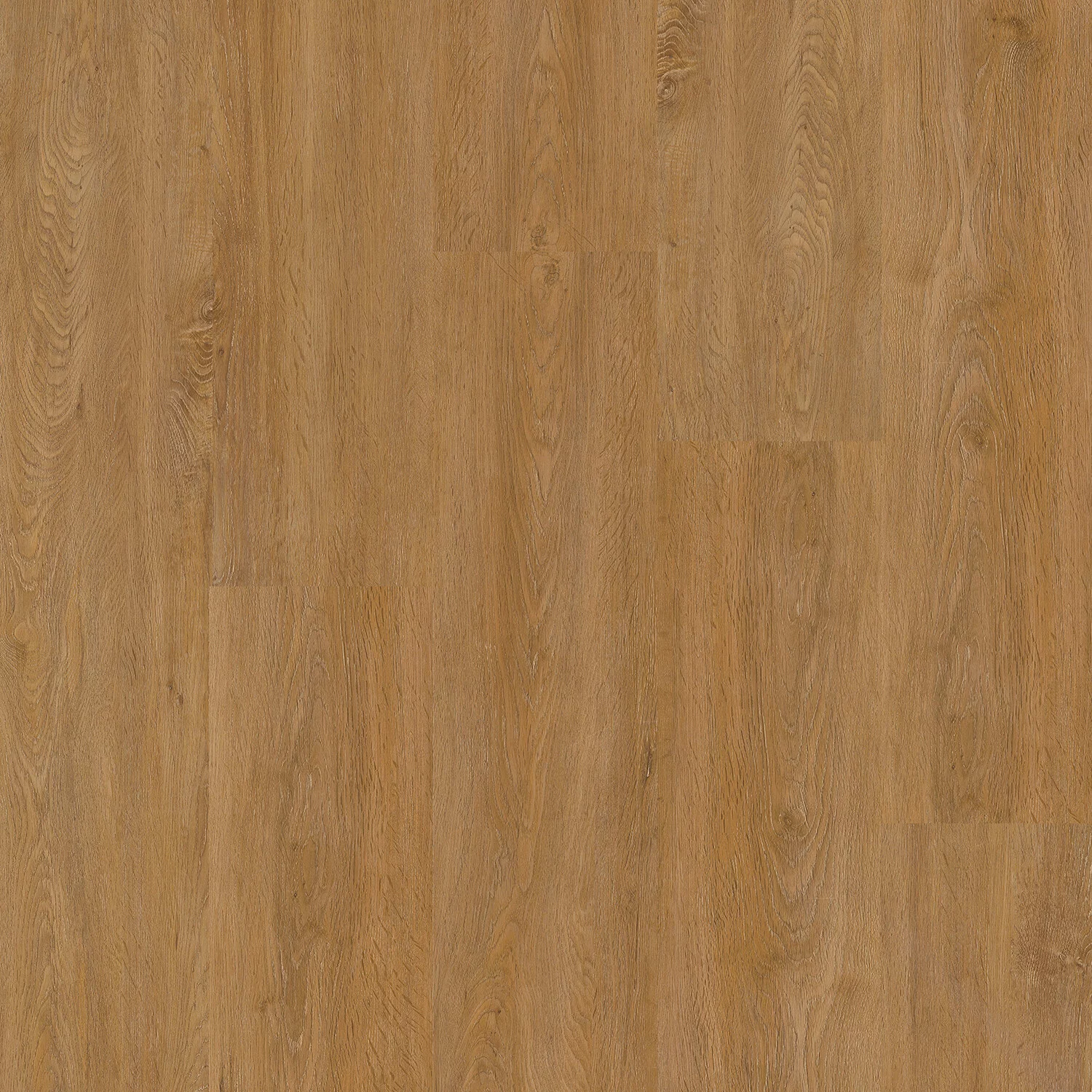 Therdex Xstralong 18040 Plank XL Dryback