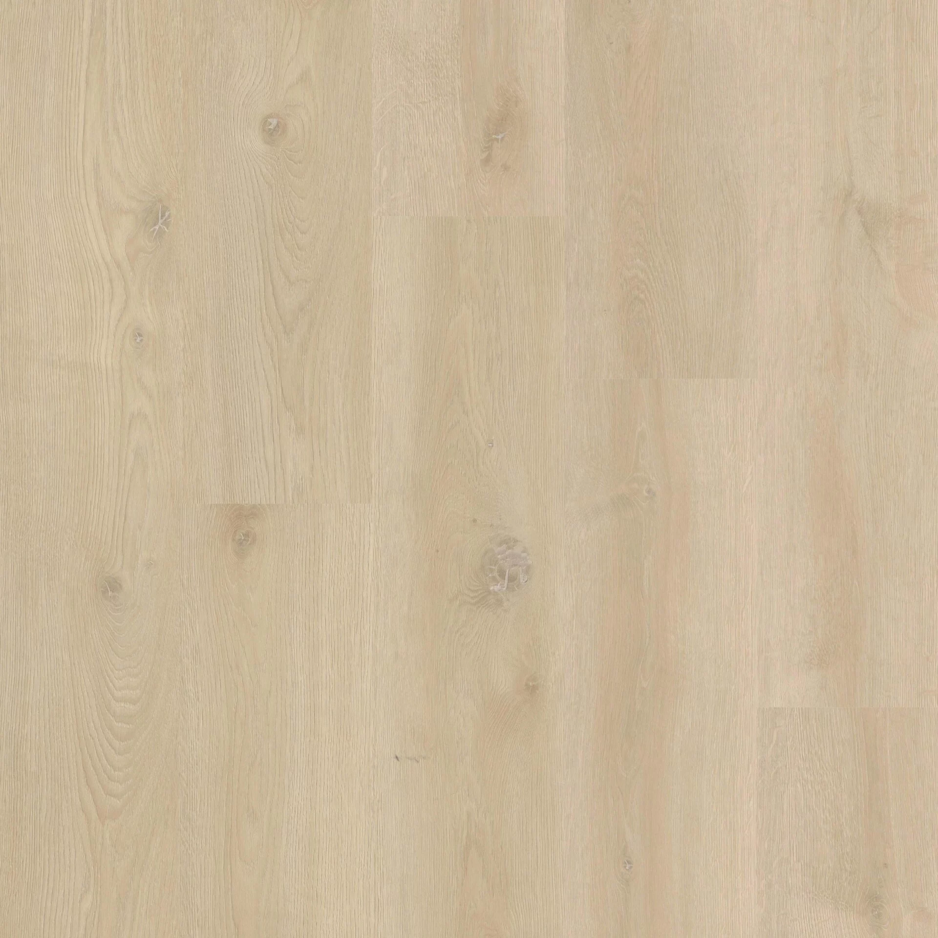 Therdex Xstralong 18080 Plank XL Dryback