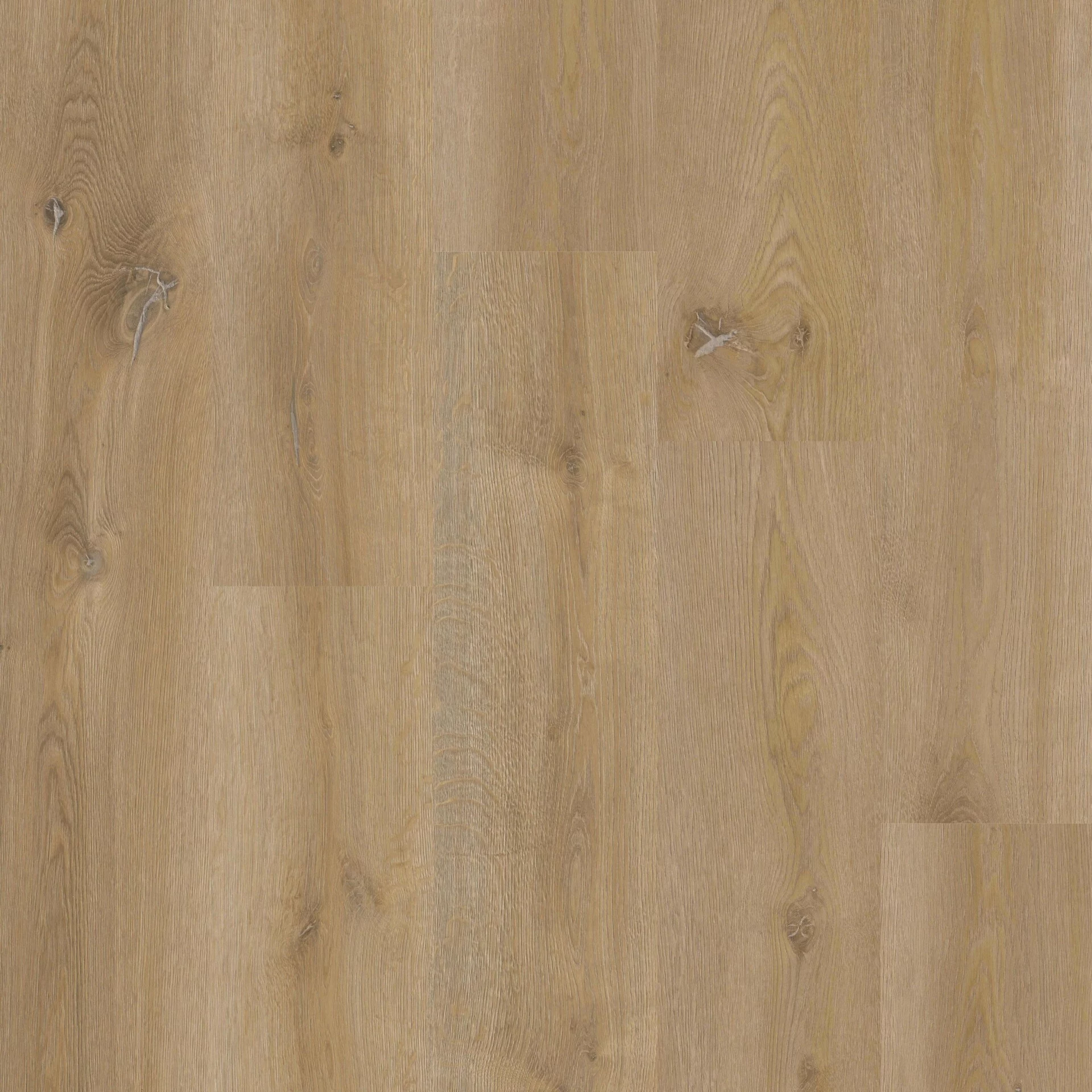 Therdex Xstralong 18100 Plank XL Dryback
